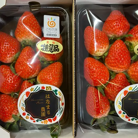 はなまる農園WEBショップ